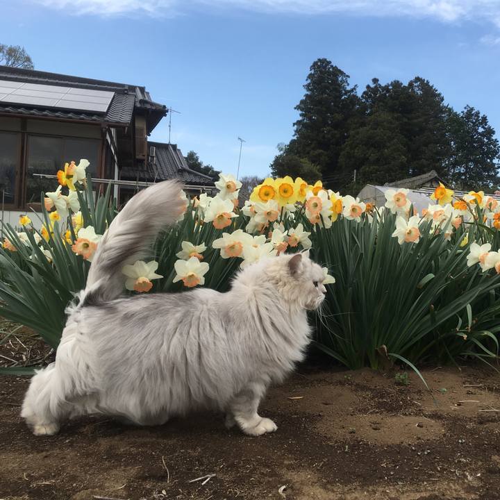 A50d3355 1206 4f29 9a36 d80661e6c31f