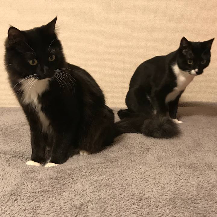 A50d3394 a9dd 4692 907d f146e8c937db