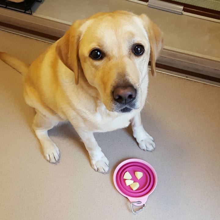 A50d345c b92b 4a44 b981 169cc3815041