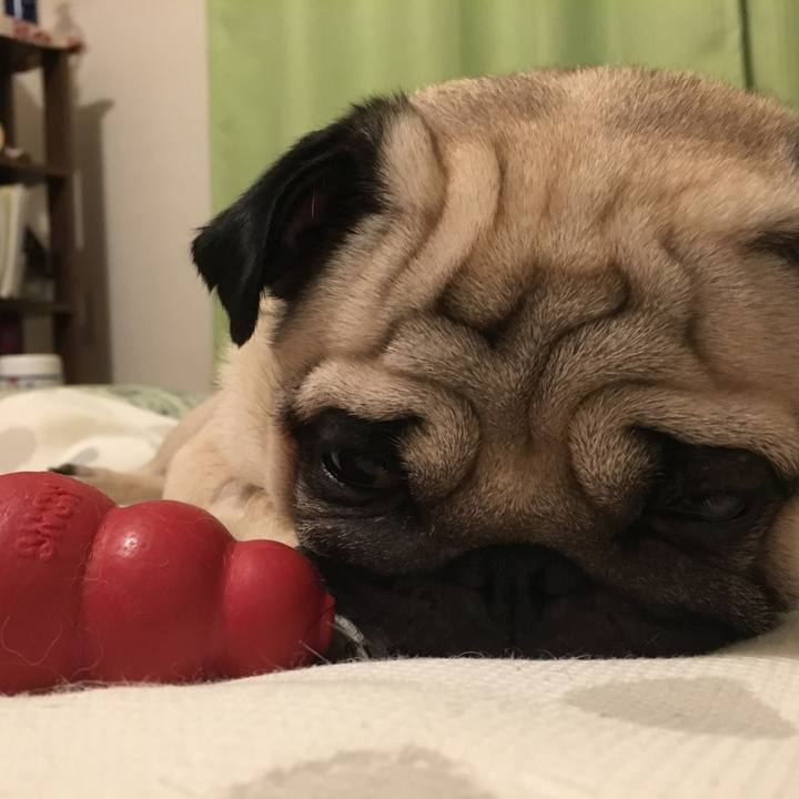 A50d8345 7e67 4380 bc33 2fc299d06a7a