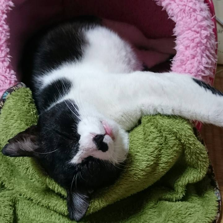 A50d9706 857f 4727 b2e8 1444a2f9b1e9