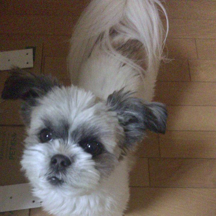 A50da291 023f 46ac 8309 119e070529c0