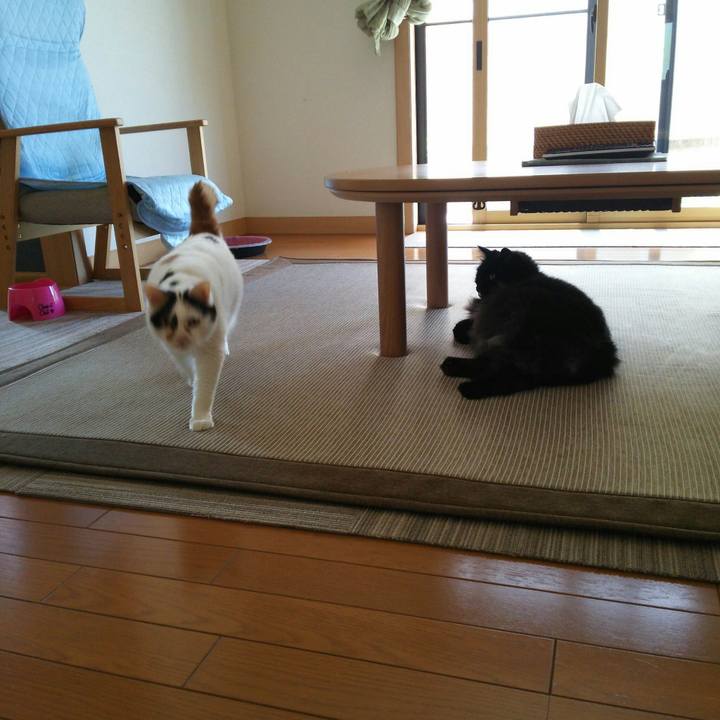 A50db906 35f6 4c23 8147 b1067cd43ce7