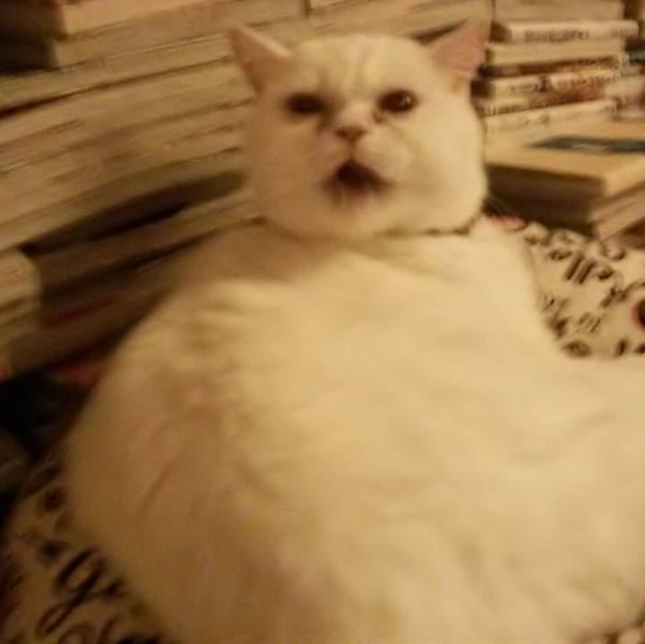 A50e63af 1d7e 44dd 8d73 700238ad0e34