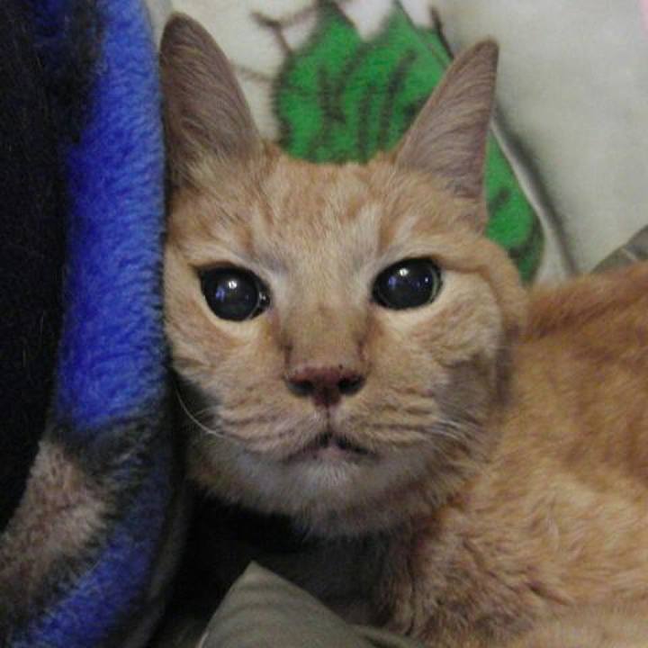 A50e7b1c 80e4 441f 9847 1d946552927e