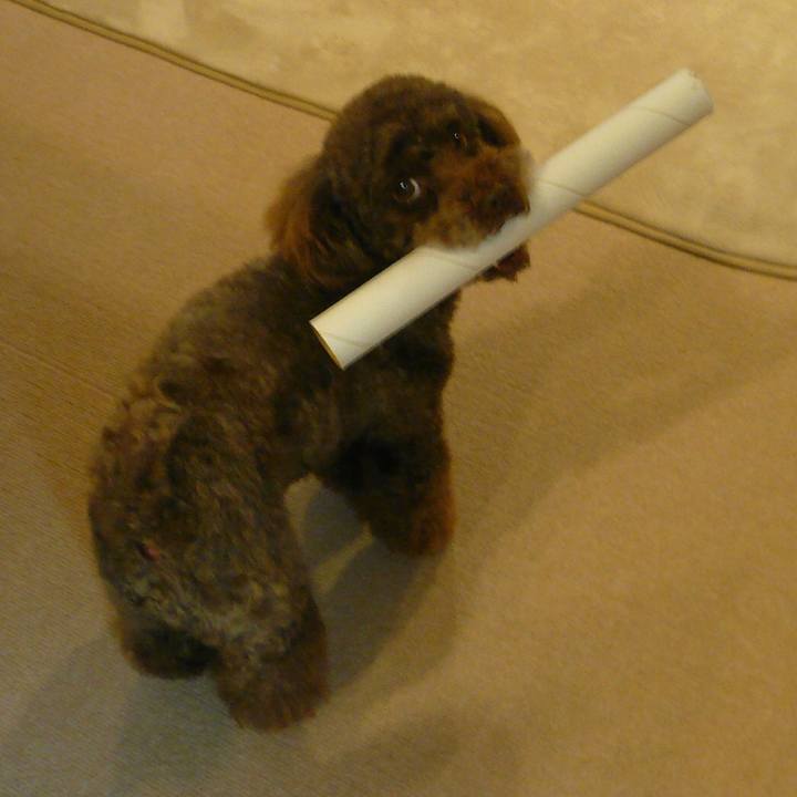 A50f19ab bbd8 49b7 a6d0 1d825d35d326