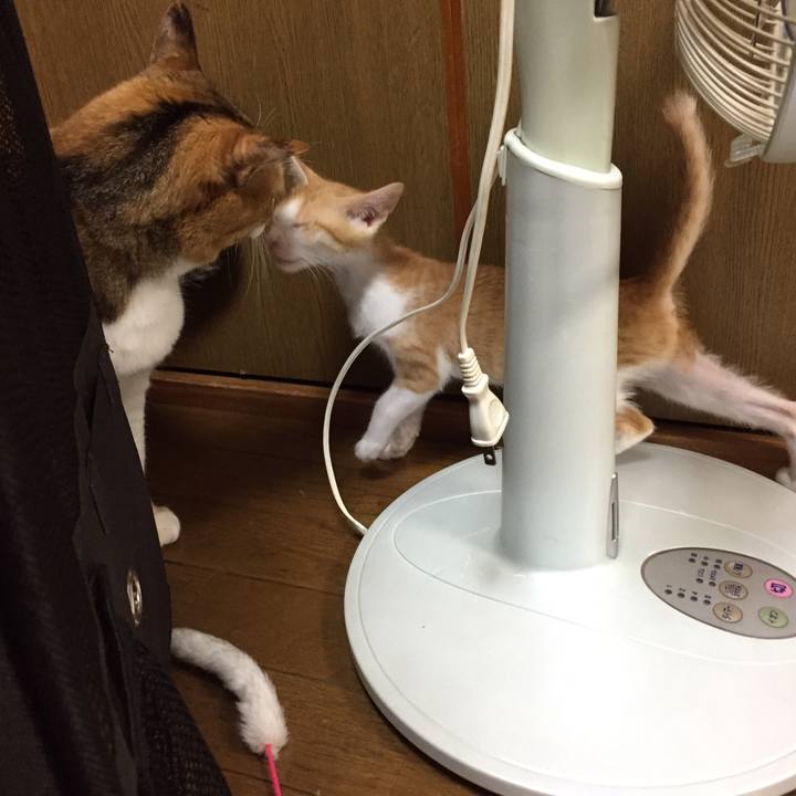 A50f45ac 62a8 47b8 b091 51979362a238