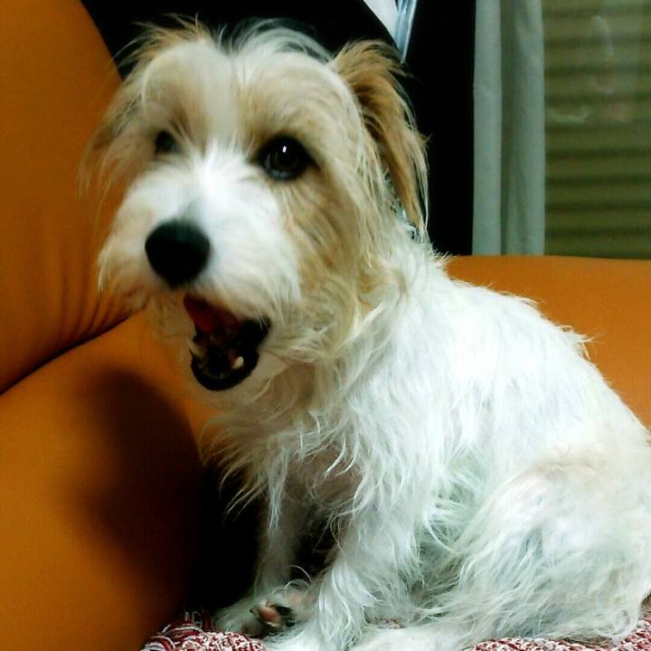 A50f4e2f abdd 43cc ac93 1986d6833f4b