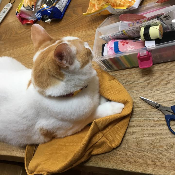 A50f734c 60da 4757 b6fa 1afe403c1f44