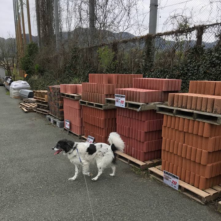 A5106c78 75c2 4157 9180 7ea48535bf8b