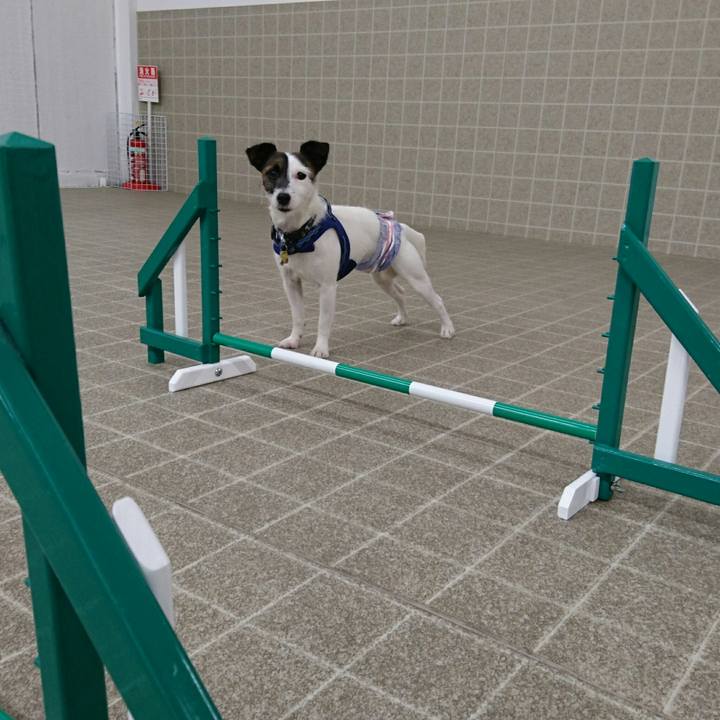 A510793b b1ab 45ff 9ef5 51ddb6b139e5