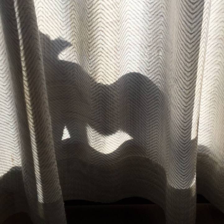 A5120f17 61ef 44a5 8a5b 324c07f516db