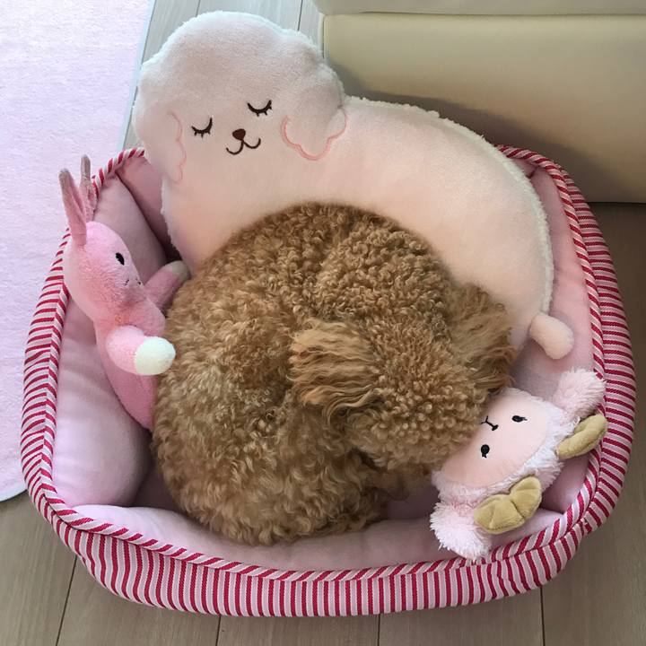 A51224c5 0e12 4eda 8b3a 8ee5e4a3cbce