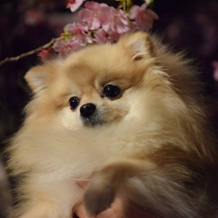 A5123ae2 20ea 4868 b855 31c9e91a3649