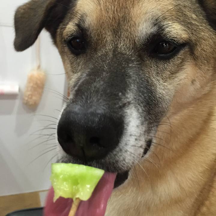 A512660a 5caa 43bb 948f 377fe9718085