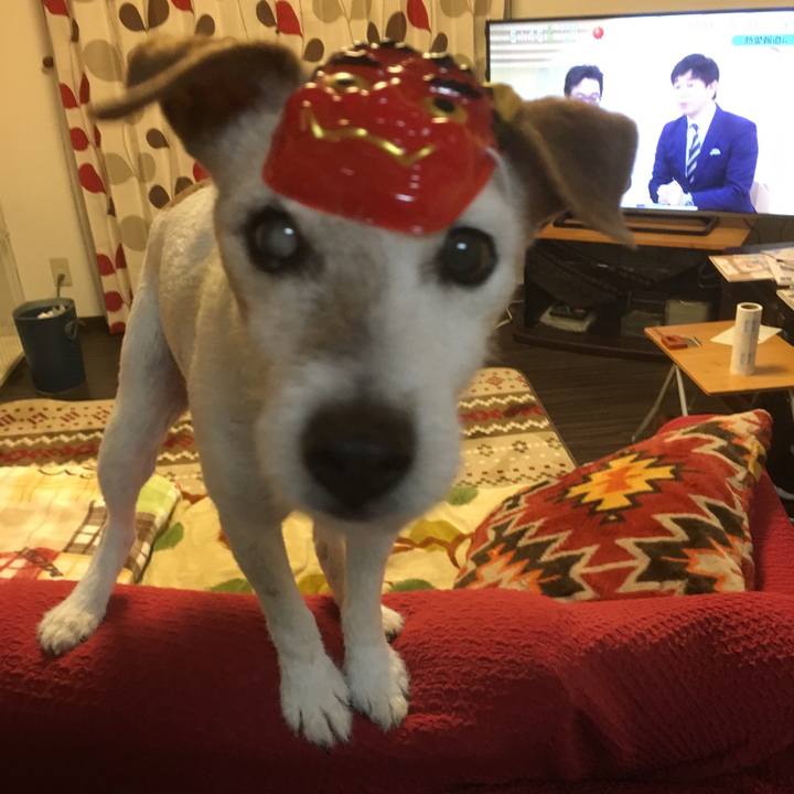 A5130c0d b1c5 401d bc44 a6b8bbe13f18