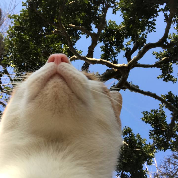 A513280d e84b 4a69 bbcb d56586480a64