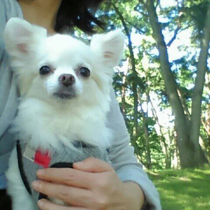 A513370b b7d2 410b 9699 d4fdd70360a6