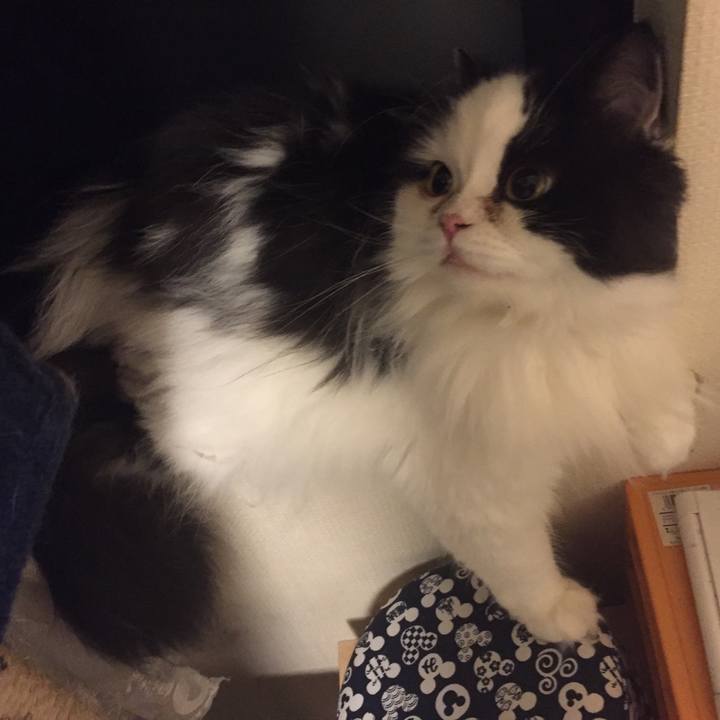 A51355cd 3099 49d8 beaa 7581b8dfd2d9