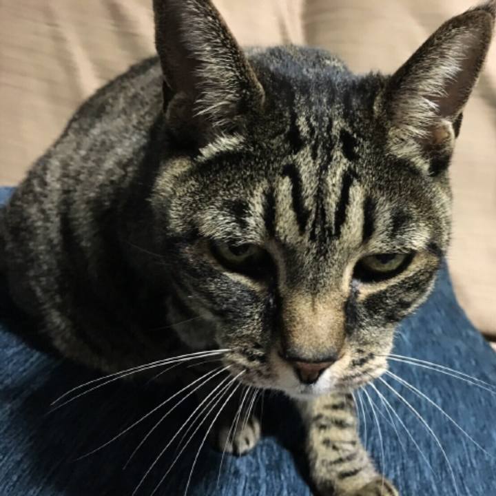 A51442fc 8e8c 4c8c 9db6 1665992b990a