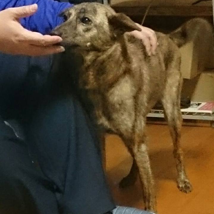 A5144c64 d182 4117 933b d7c0ae33b268