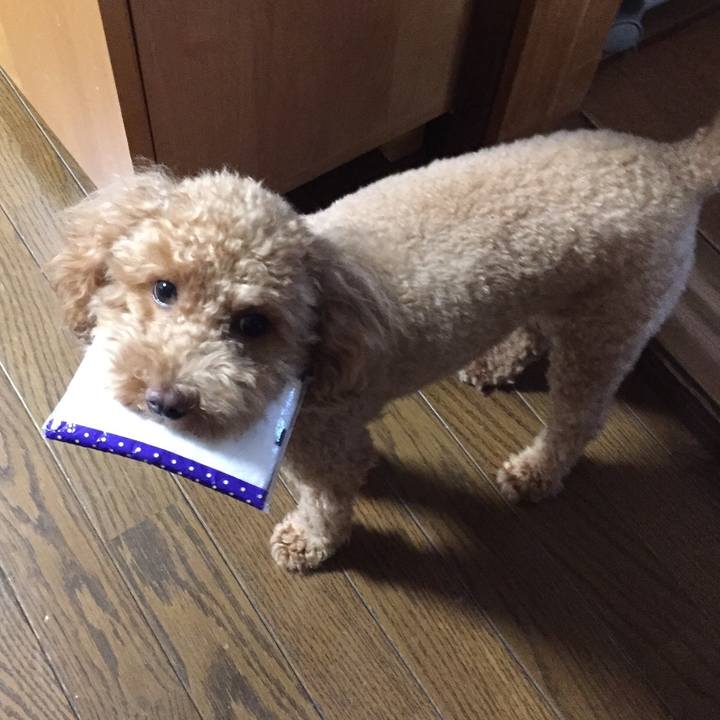 A5147359 df6b 45fc 86f2 dd95f6416871