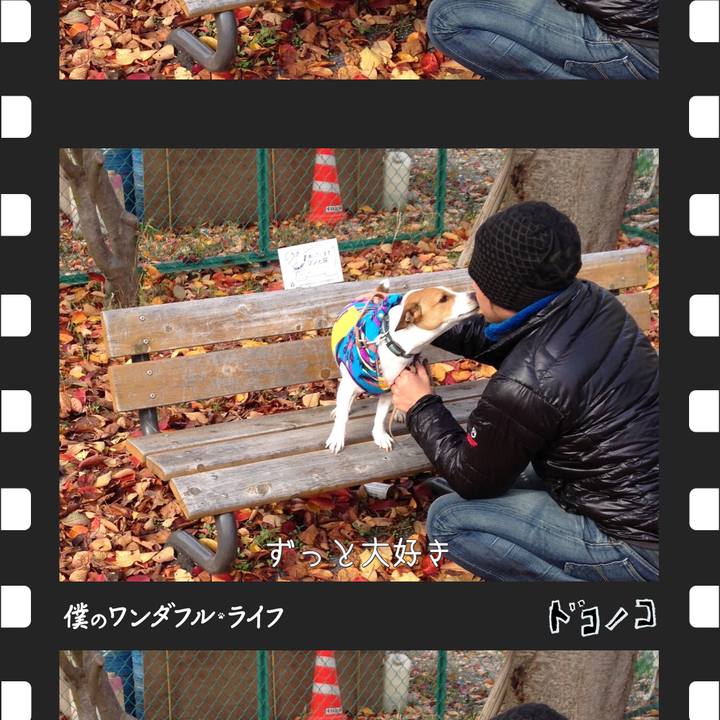 A51580d7 8d78 4ebd a647 a8b8a969d339