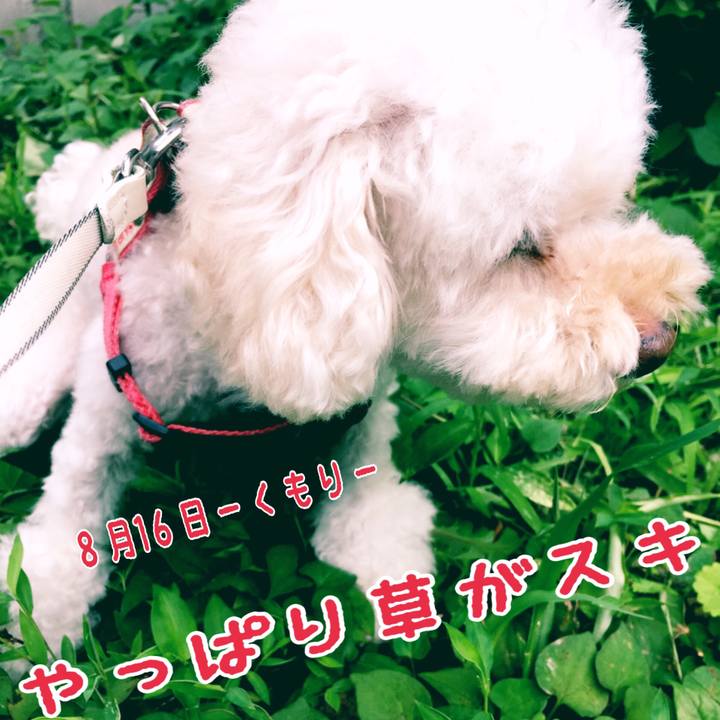 A516bdcf 8f04 4e70 bfe3 4aa80e3d20f5