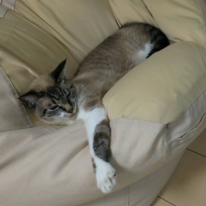 A5171a59 48a1 4226 90a0 50e765022bac