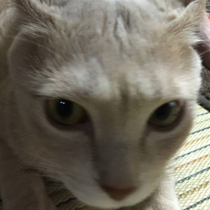 A517621a 2da4 48d6 96af c18776b09d63