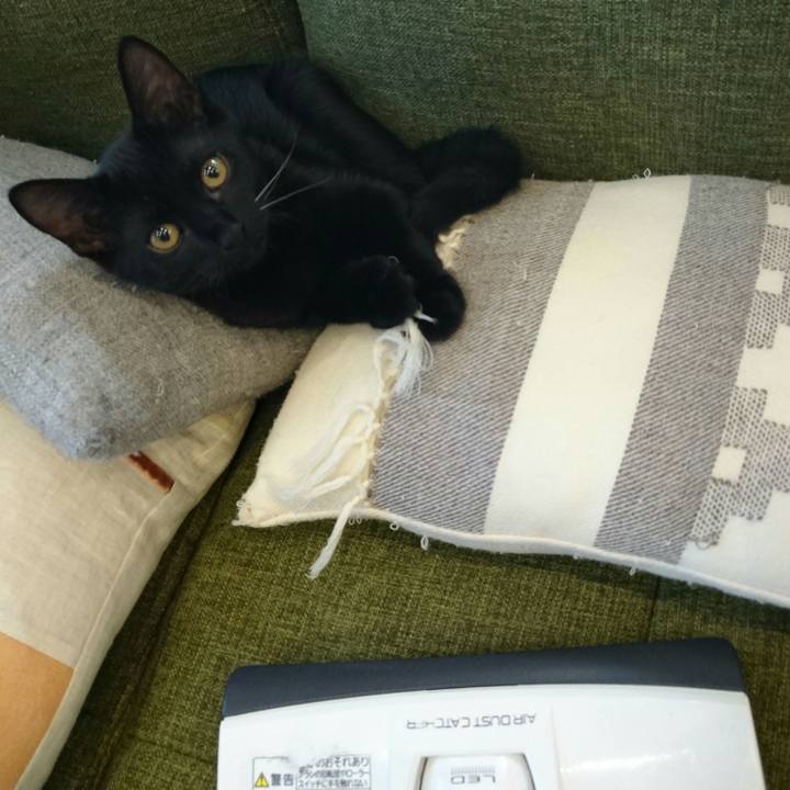 A5176905 87b1 4188 ad1b 59fdc2084503