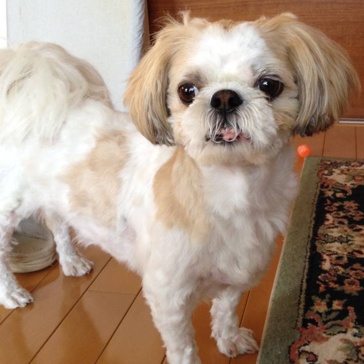 A5176b56 3f15 44e0 ad3c 9693d5b8cd5e