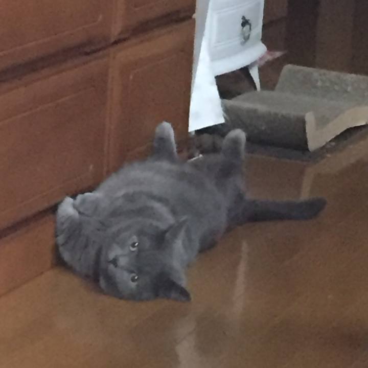 A5186d61 9caf 479d 9f30 fc1751ccd92d