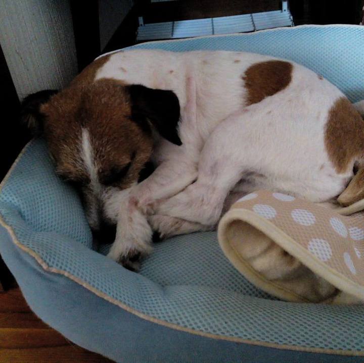 A51950cb 42d0 4046 bcf8 1d4788b10c61