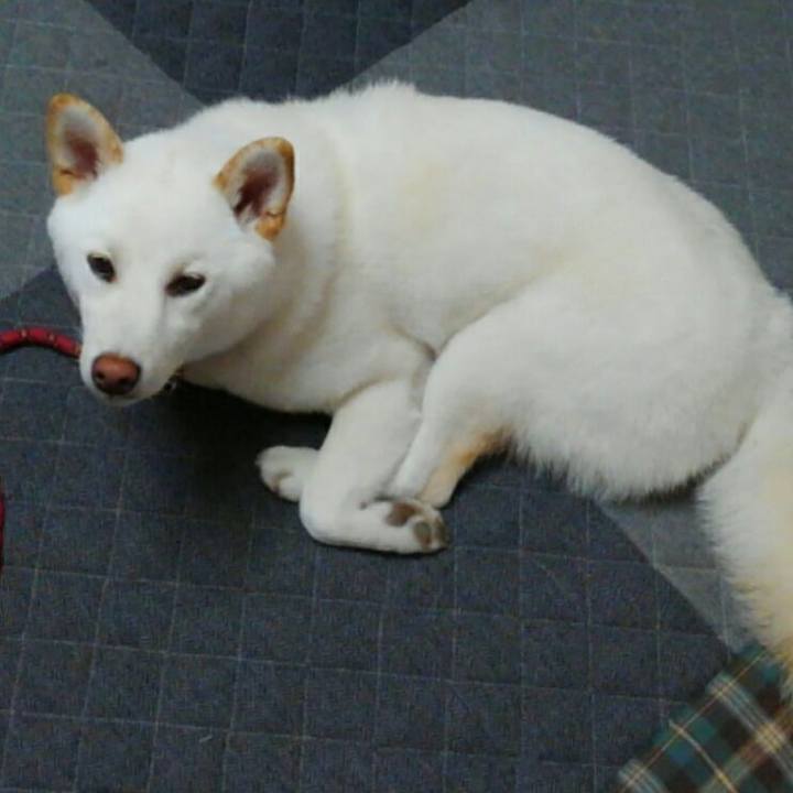 A5197279 1c6b 4ef4 8bd6 004b931f80f5