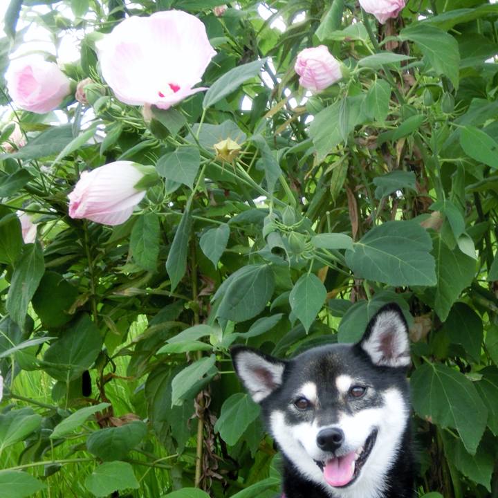 A519cffe 29c0 4cfc b464 520829561ed5