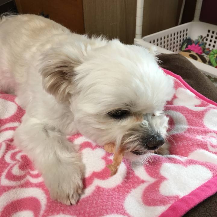 A51ae328 a2a0 4f10 acef eff2e08e7037