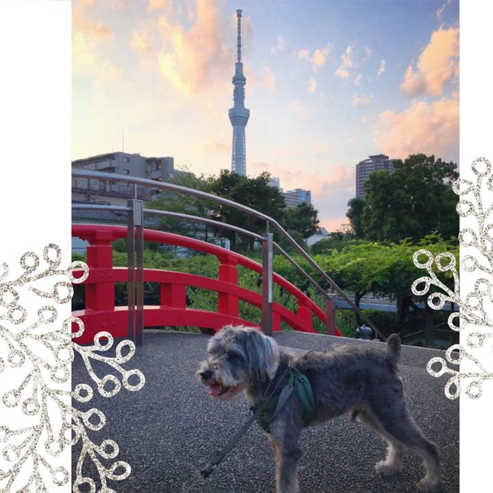 A51b5455 4c46 480c 8107 9089a995b37f