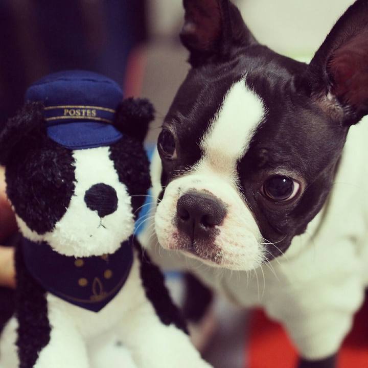 A51beb57 19c9 446a a509 100dbcd9359a