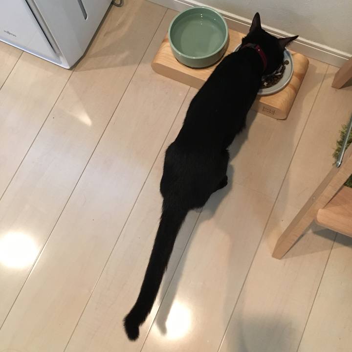 A51c11b0 293d 4064 a2be 5622cfc767f1