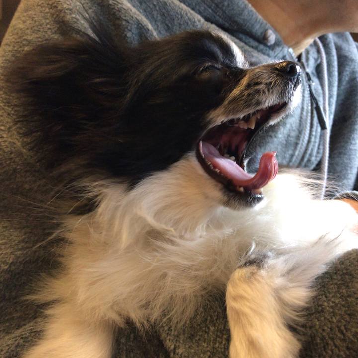 A51ca97e 6c06 45dc 9a15 05c5f4580623