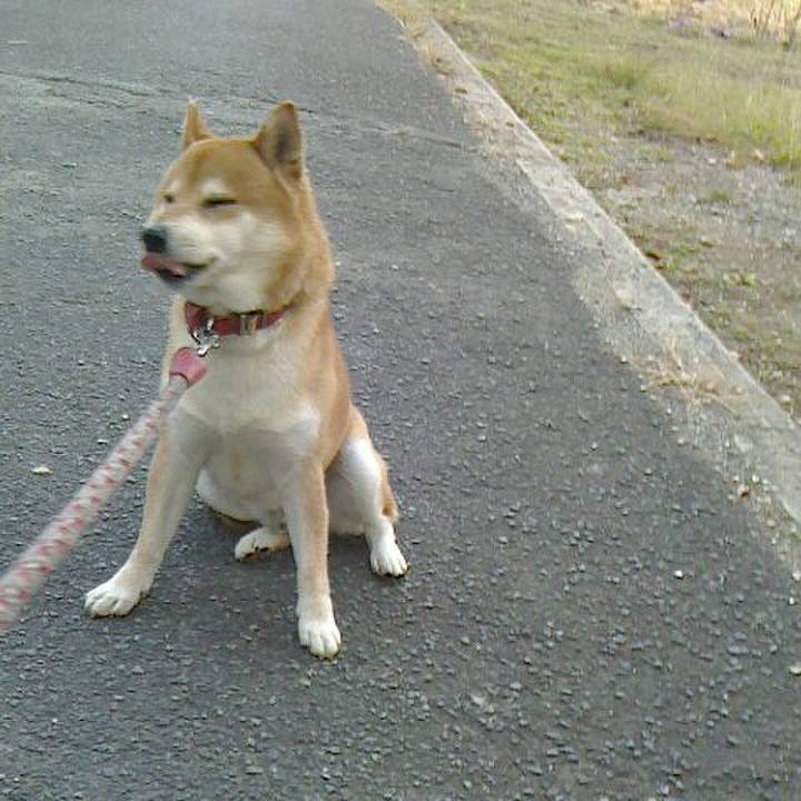 A51ccecc 7c91 4b0c 97d2 16e09996ac65