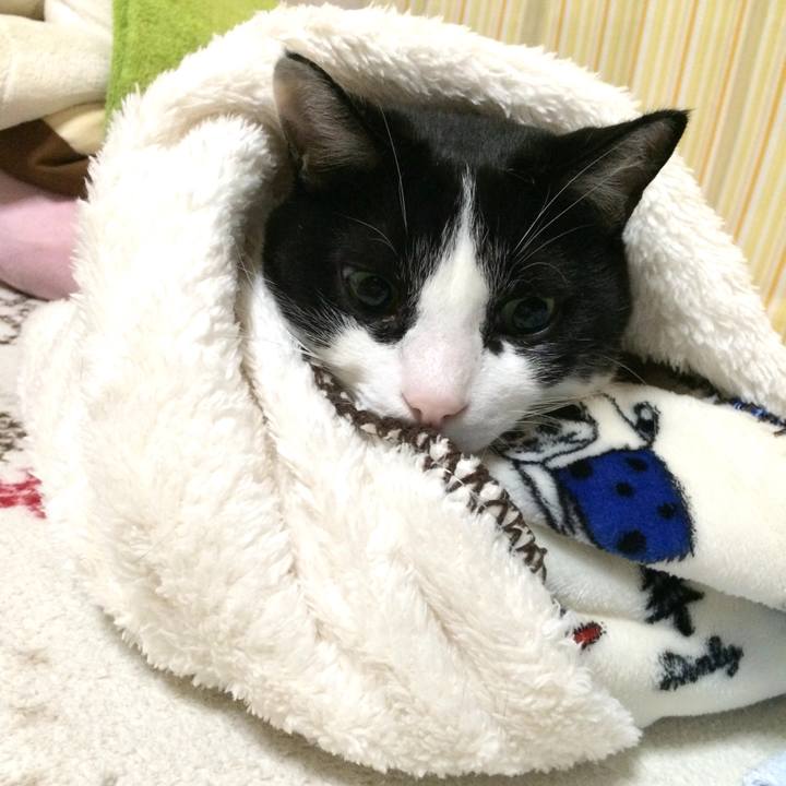 A51d4dad d911 45fb b1fe 06059eeebcc7