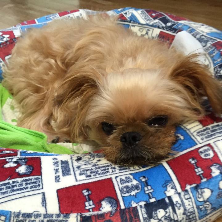 A51d5e60 707e 4fff a0da 24bcd1f11d7c