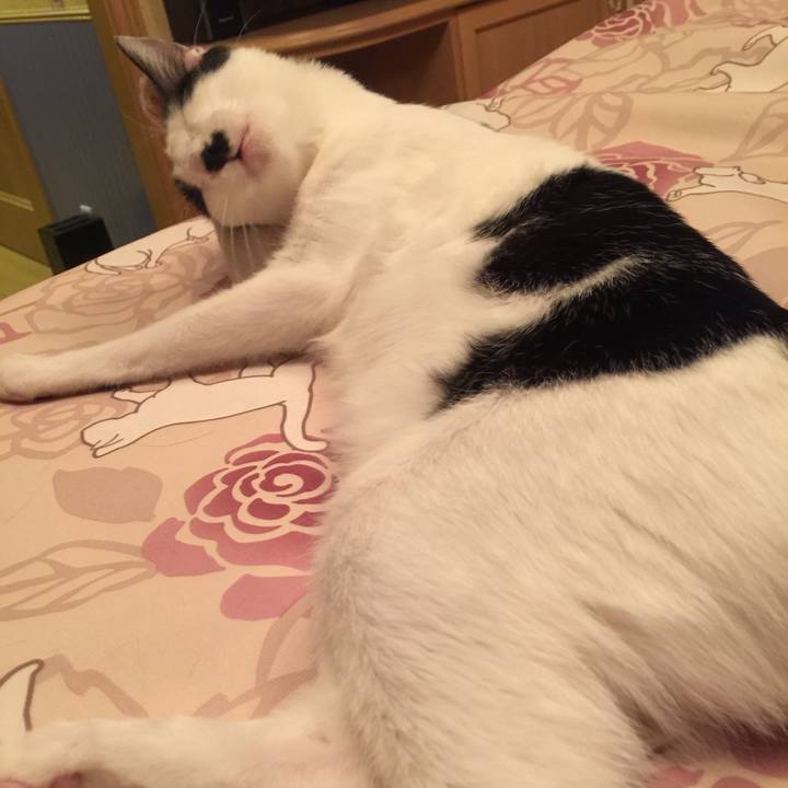 A51d74c1 2a17 4104 a3d5 41d982d2a8e2