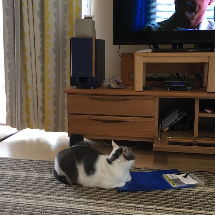 A51da8f2 9353 45c3 8601 09b7da74c3fb