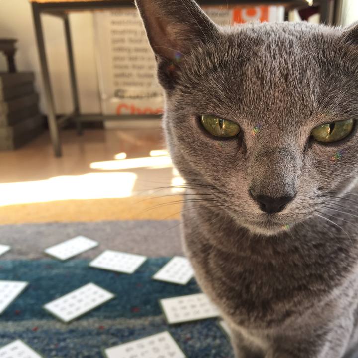 A51dd537 3548 435a aa8f decee5d88035