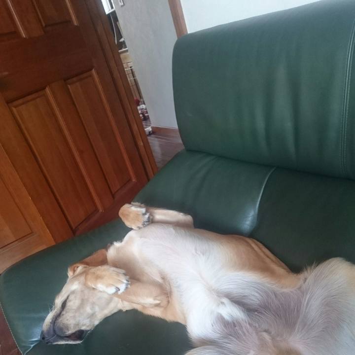 A51e0df8 dc7c 4e1a b61f 22887225e51f