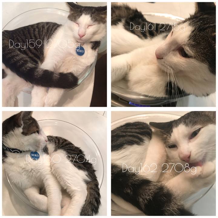 A51e1a71 3125 4503 bf7e abede7241999