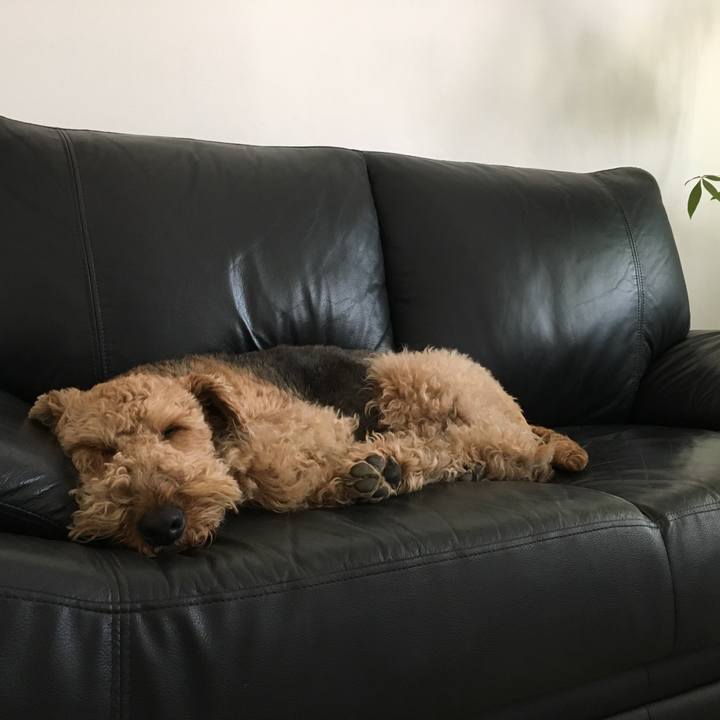 A51e5baa ff6f 4ac0 a06d 0cbe432d54e8